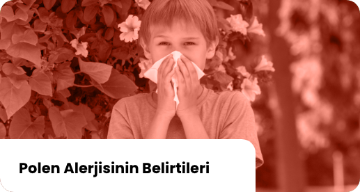 Polen Alerjisinin Belirtileri